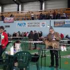 murillo_na stoliku.jpg